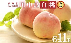 桃 先行予約 川中島白桃 秀品 約 3kg (6～11玉) フルーツ 果物 夏 旬 2026年 8月発送