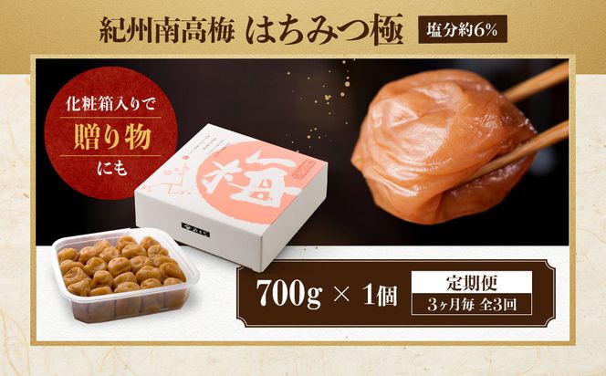 【定期便・3ヵ月毎 全3回】紀州南高梅 はちみつ極 700g ［YM10］ 303446_DX90026