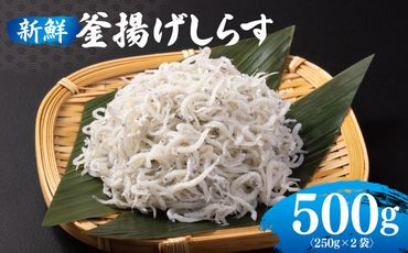 099H3022 新鮮 釜揚げしらす 合計 500g 小分け 250g×2P