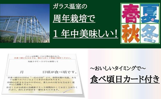 クラウンメロン”名人メロン”　2玉入　ギフト箱入り 果物類 メロン青肉 スイーツ 