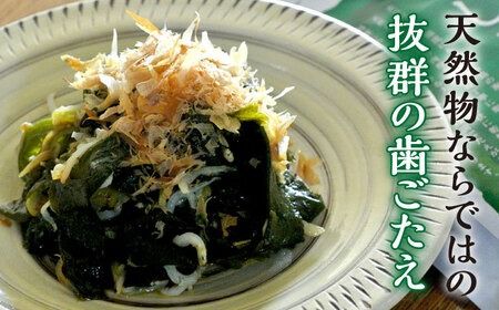 干しわかめ 2袋 《糸島》【山下商店】【いとしまごころ】糸島 乾物 海藻 いとしま 乾燥 [ANA010]