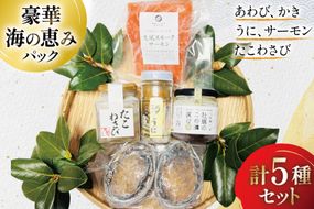豪華 海鮮5種 海の恵みパック [たみこの海パック 宮城県 南三陸町 m304amh560091] 魚介類 海鮮 うに ウニ アワビ あわび 鮑 サーモン 銀鮭 鮭 牡蠣 カキ たこわさび 詰め合わせ