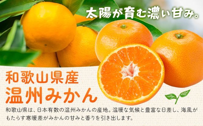うんしゅうみかん 果汁100%（濃縮還元）ジュース 30缶 190g/1缶 南海果工株式会社《30日以内に出荷予定(土日祝除く)》和歌山県 日高川町 ジュース 温州みかん 温州ミカン 送料無料---wshg_nkk2_30d_26_17000_30---