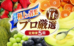 【5回コース】果物屋が選ぶ旬のフルーツ定期便 いちご メロン びわ みかん 梨 柿 など / 南島原市 / 贅沢宝庫[SDZ058]