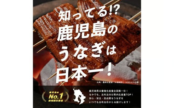 【10営業日以内に発送】鹿児島県産うなぎ蒲焼 名水慈鰻 2尾＜計210～250g＞ a1-151