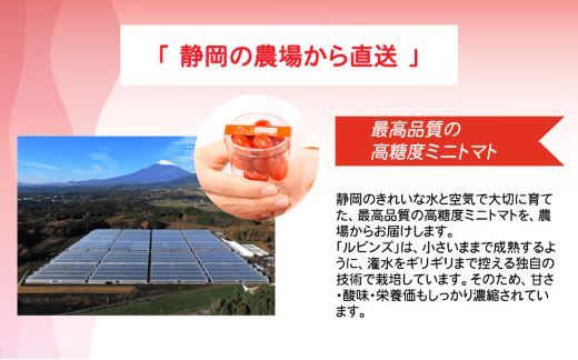 B51アメーラルビンズ＆ルビンズゴールド　5パック入り