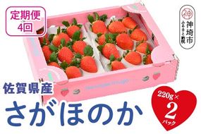 【先行受付 R9年1月より発送 農家直送】【4回定期便】さがほのか220g×2パック【いちご 苺 イチゴ 果物 フルーツ スイーツ デザート ふるさと納税】(H117103)