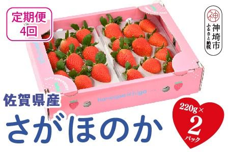 【先行受付 R9年1月より発送 農家直送】【4回定期便】さがほのか220g×2パック【いちご 苺 イチゴ 果物 フルーツ スイーツ デザート ふるさと納税】(H117103)