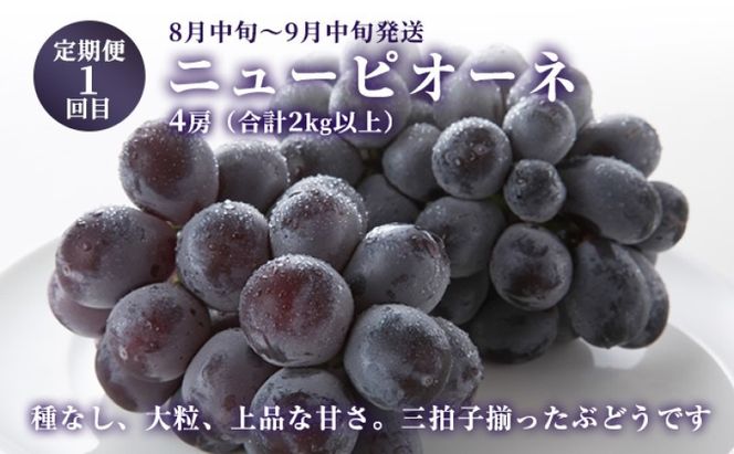 ぶどう 【2026年 先行予約】 晴れの国 おかやま の フルーツ 定期便 葡萄 ニュー ピオーネ シャインマスカット 岡山県産 国産 セット ギフト