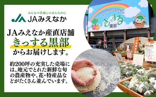 令和7年産 コシヒカリ 松阪産 玄米 10kg（ 米 お米 こめ コメ おこめ 白米 玄米 こしひかり コシヒカリ 三重県 松阪市 ）【002110A】