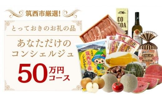 筑西市厳選！ とっておきのお礼の品  あなただけの コンシェルジュ 50万円 コース オーダーメイド サービス [ZZ020ci]