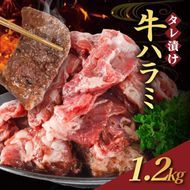 【訳あり】 タレ漬け 牛ハラミ 1.2kg 4P 肉 牛 牛肉 ハラミ 味付け タレ ハラミ肉 BBQ バーベキュー 焼き肉 焼肉 焼肉セット アウトドア キャンプ ギフト 真空 パック 小分け 300g 個包装 簡単 便利 冷凍 人気 京都 南丹市 神戸 ミートフーズ