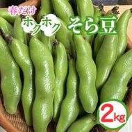 ＜先行予約＞春だけ ホクホクそら豆！2kg 京都 亀岡産 野菜 豆類 旬 おつまみ 取り寄せ 人気 ※北海道・沖縄・離島への配送不可 ※2026年5月中旬～6月中旬頃に順次発送