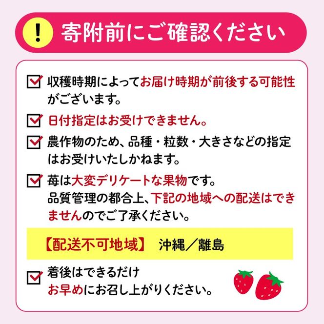 【先行予約 2025年4月より順次発送予定】 いちご 2種 2kg 以上 苺 旬 産地 直送 フレッシュ イチゴ 紅ほっぺ 章姫 きらぴ香 かおりの フルーツ 果物 国産 ジャパン ベリー 静岡県 藤枝市 [PT0040-000003]