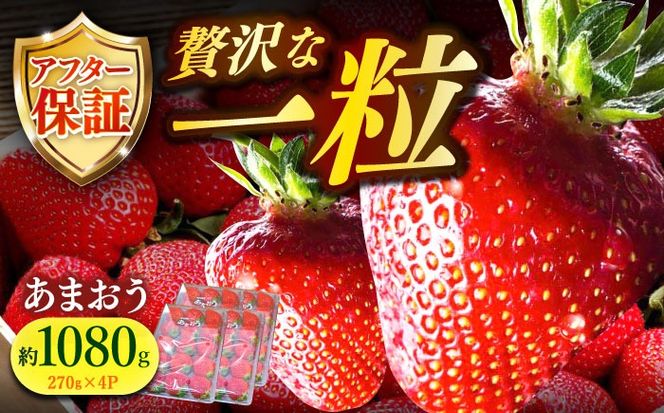 【先行予約】農家直送 朝採り新鮮いちご【博多あまおう】約270g×4【2027年2月以降順次発送】《築上町》【株式会社H&Futures】[ABDG004]