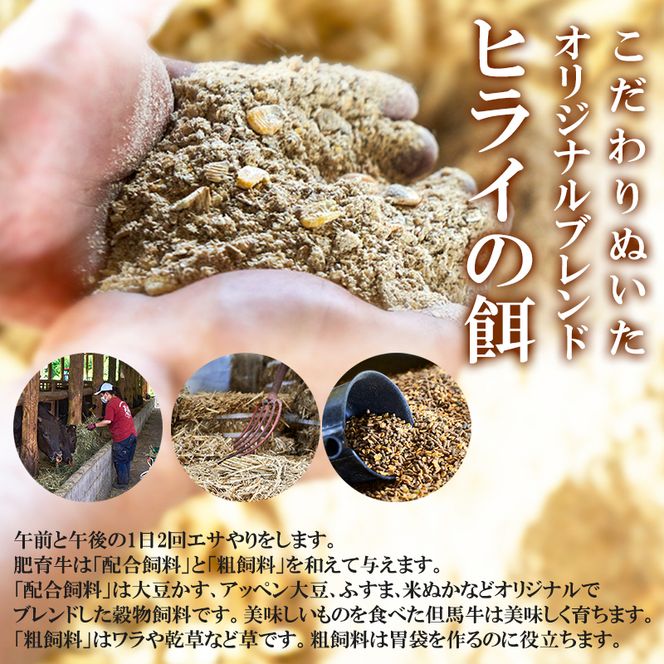 神戸牛カレー ビーフシチュー タンカレー 計4缶 缶詰 神戸牛 レトルトカレー