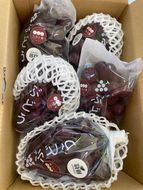 【先行予約】有田巨峰村三木と園のあま～いジューシー！ 種あり 藤稔（ふじみのり）2kg(4〜6房)  	BR10