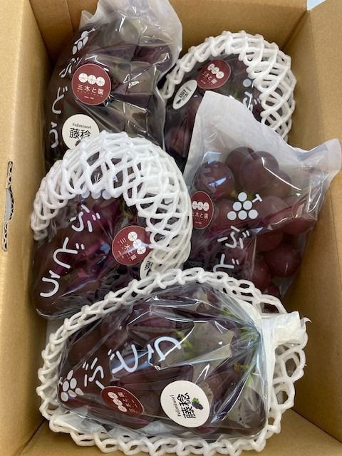 【先行予約】有田巨峰村三木と園のあま～いジューシー！ 種あり 藤稔（ふじみのり）2kg(4〜6房)  	BR10