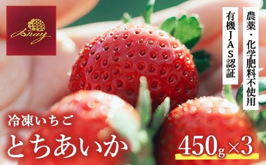 yȖ،szⓀ 450g×3