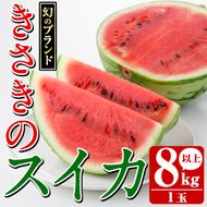 ＜先行予約受付中！2026年7月上旬以降順次発送予定＞幻のブランド「きさきのスイカ」(1玉・8kg以上)  スイカ すいか 西瓜 果物 フルーツ 野菜 旬 夏 おやつ 水分補給 熱中症対策 木佐木野【竹ん子山】akn097-04
