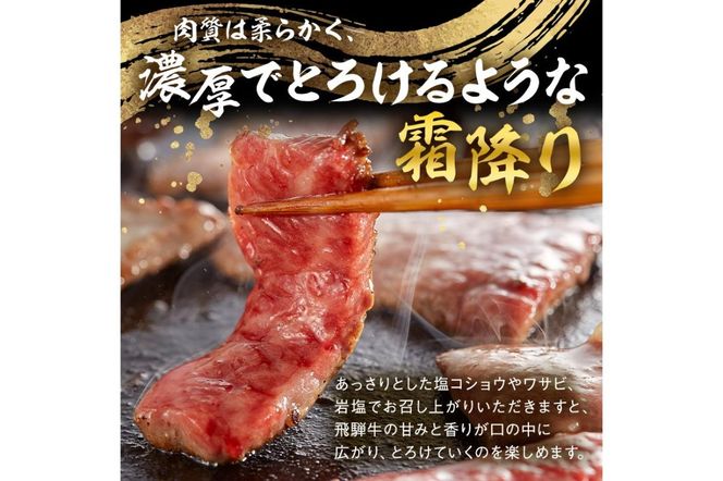 y򕌌szˋ@ēpi[X700jy0016-049z