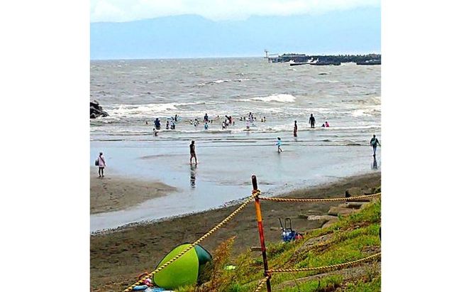 ちがさき柳島キャンプ場 セットアップテントで森林浴キャンプ アウトドア キャンプ場利用券 初心者 気軽 設置済テント BBQ 海岸遊び 焚火 テーブル付き タープ付き 5名用テント 日帰り 宿泊 