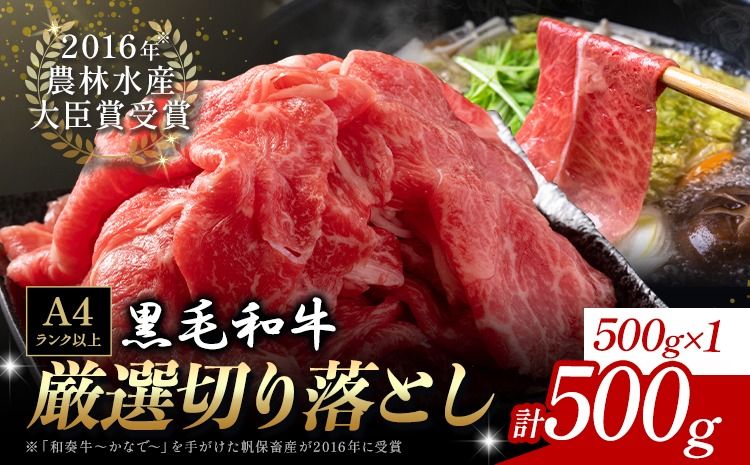 厳選 くまもと黒毛和牛 切り落とし 500g[30日以内に出荷予定(土日祝除く)]熊本県 大津町 和牛焼肉LIEBE くまもと黒毛和牛 切り落とし 冷凍 リーベ---oz_lib_20_500g---