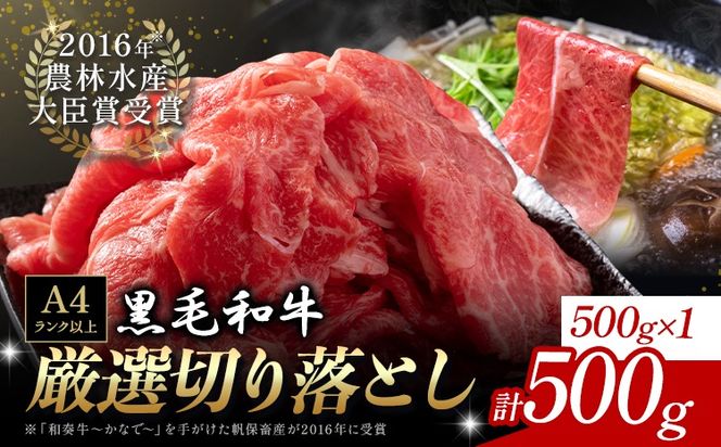 厳選 くまもと黒毛和牛 切り落とし 500g《45日以内に出荷予定(土日祝除く)》熊本県 大津町 和牛焼肉LIEBE くまもと黒毛和牛 切り落とし 冷凍 リーベ---so_fliekiri_45d_r7_11000_500g---