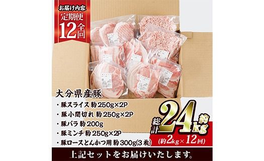 ＜定期便・全12回 (連続)＞ 豚肉 バラエティーパック (総量24kg・5種) 豚バラ しゃぶしゃぶ 鍋 とんかつ ロース 小分け 個包装 豚こま 小間切れ スライス ミンチ セット 詰め合わせ 冷凍 食べ比べ 国産 大分県 佐伯市【BD323】【西日本畜産】