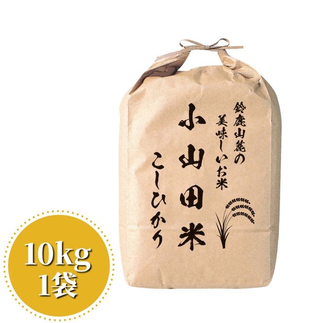 ＜定期便＞鈴鹿山麓の銘水が育てた米、米どころ三重県産小山田地区「こしひかり」10kg【12ヶ月】-[G896]