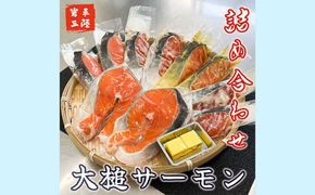 大槌サーモンづくし(バター焼き、西京漬け、粕漬け、塩麴漬け、ひと塩の5種類)セット【0tsuchi01077】