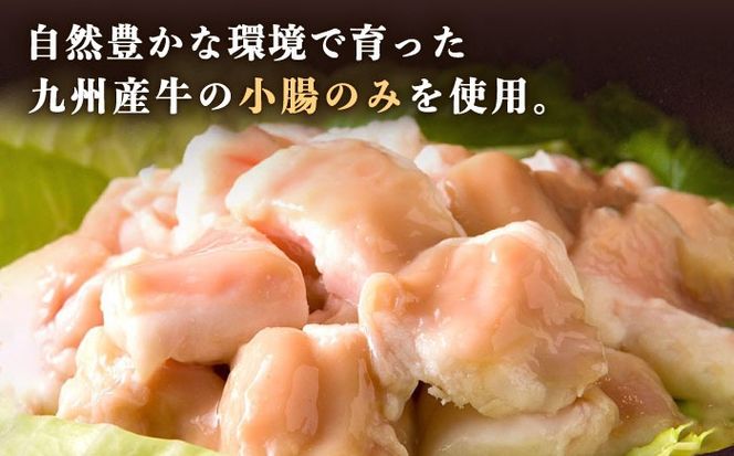 【全12回定期便】国産 ・ 完全 無添加 もつ鍋 セット ( 約 2人前 ) 白みそ味 糸島市 / 博多 浜や[AFF007] もつ鍋福岡 もつ鍋名物 もつ鍋無添加 もつ鍋国産 もつ鍋もつなべ もつ鍋モツ もつ鍋鍋セット もつ鍋うどん もつ鍋博多