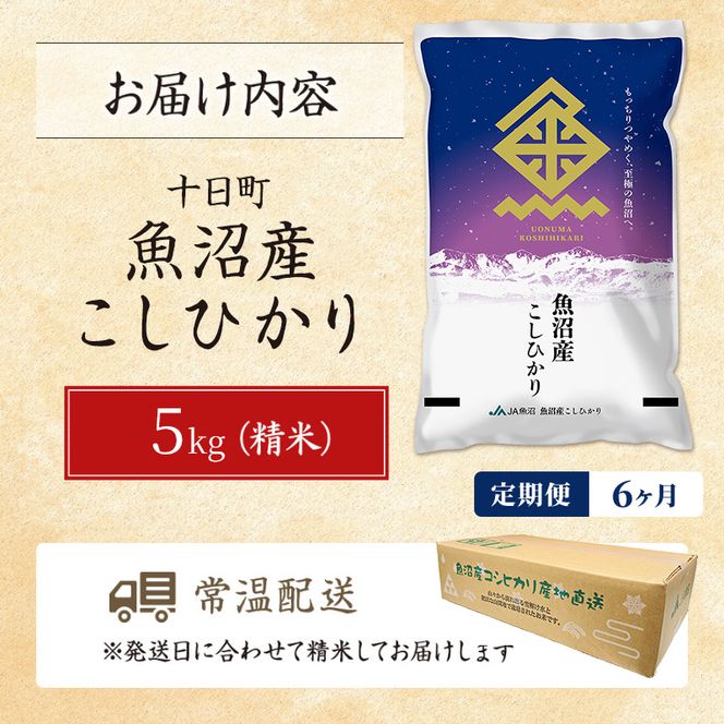 【6ヶ月定期便】魚沼産こしひかり(十日町地域) 精米 5kg 米 お米 コシヒカリ 定期 十日町市