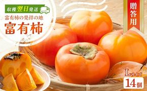 富有柿発祥の地から収穫翌日発送！【贈答用】富有柿Lサイズ14個｜かき フルーツ カキ 果物 くだもの 産地直送 岐阜県 瑞穂市 お取り寄せ ※離島への配送不可 ※2025年11月～12月中旬頃に順次発送予定
