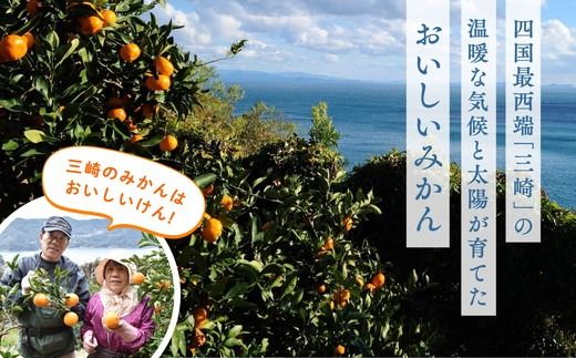 【先行受付】【※超訳あり】清見オレンジ 5kg | みかん 柑橘 ミカン 蜜柑 mikan 果物 フルーツ 糖度 甘い きよみ タンゴール 温州 オレンジ ミックス 愛媛県 伊方町 Misaki Base ※2025年3月中旬～4月中旬頃に順次発送予定 ※離島への配送不可