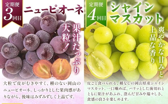 フルーツ 定期便 全5回 岡山県の 贅沢 フルーツ定期便 白桃 黄桃 ニューピオーネ シャインマスカット 梨《7月-12月末頃出荷》岡山県 矢掛町 送料無料 果物 フルーツ 旬 もも ぶどう なし お取り寄せフルーツ---ofn_czfrutei_26_50000_jul5---