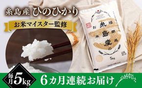 【全6回定期便】【こだわり精米】 糸島産 ひのひかり 5kg 糸島市 / RCF 米 お米マイスター [AVM007]