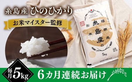 【全6回定期便】【こだわり精米】 糸島産 ひのひかり 5kg 糸島市 / RCF 米 お米マイスター [AVM007]