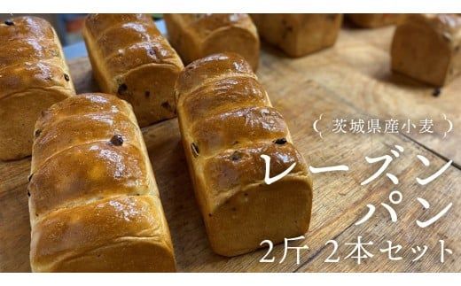 茨城県産 小麦の レーズンパン 2斤 2本 セット 食パン パン 小麦 冷凍 レーズン プレゼント ギフト [AU007ci]