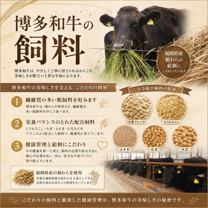 博多和牛 モモ 焼肉用・スライス 計800g (各400g) 牛肉 肉 セット ※配送不可：離島