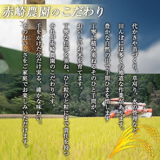 isa1114 ＜先行予約受付中！2026年11月中旬以降順次発送＞令和8年産 新米 鹿児島県産あきの舞(10kg) 国産 鹿児島県 米 お米 新米 白米 伊佐米 【赤崎農園】