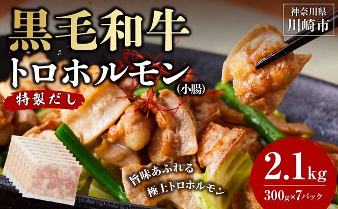 黒毛和牛トロホルモン（小腸）　特製だし2.1kg ( 300g × 7パック )【配送月が選べる】