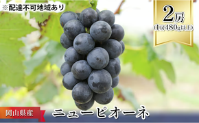 ぶどう 2026年 先行予約 ニュー ピオーネ 2房（1房480g以上） ブドウ 葡萄 岡山県産 国産 フルーツ 果物 ギフト ニューピオーネ 化粧箱 贈答品
