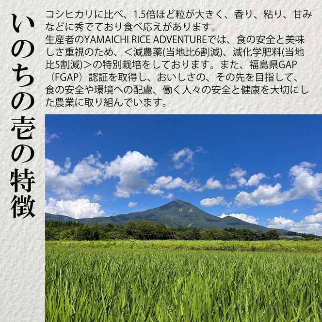 【令和8年産・新米】幻の米 いのちの壱 特別栽培米 5kg【減農薬・減化学肥料】