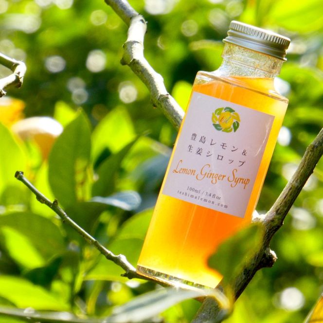 豊島レモン＆生姜シロップ 100ml×3本 果物類 柑橘類 檸檬 シロップ