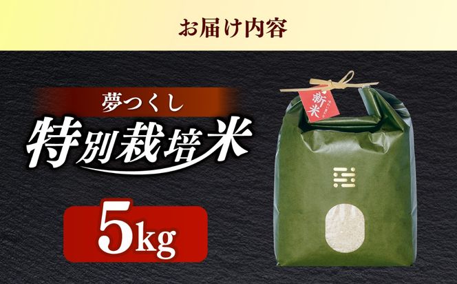 とくべつ の中の とくべつ  特別栽培米  夢つくし  5kg 【築上町】 / itoshimacco / 株式会社やました[ABEX005]
