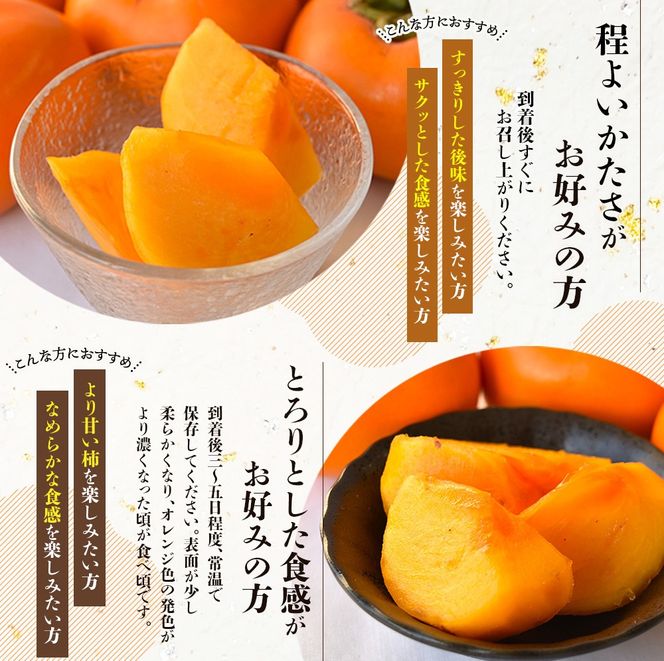 【2026年先行予約】種無し柿 早生刀根柿 2026年9月末頃～10月末頃に順次発送予定（お届け日指定不可）/ 和歌山 柿 かき フルーツ 果物 くだもの 刀根 種無し【kgr003A】