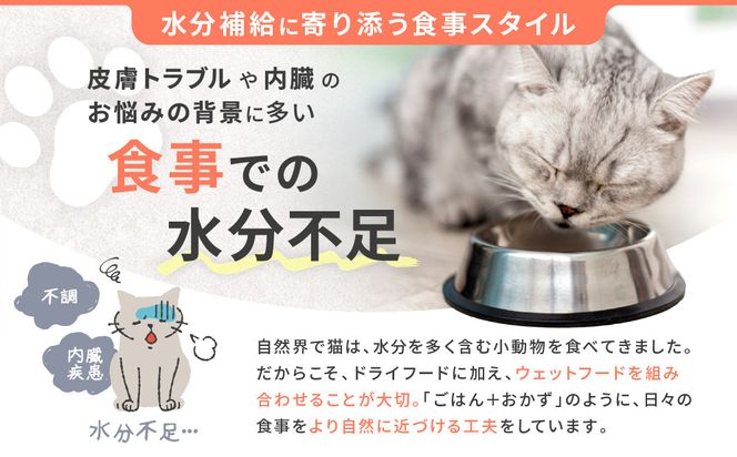 【MANMA BUONO】猫の手作りごはん お試しAセット3種｜京都 ペットフード ブランド 有名 人気ペットフード［ 愛猫の健康を支える ペーットフード 3種 人気セット こだわり 美味しい 栄養 ごはん 食事 人気 おすすめ お取り寄せ 通販 送料無料 ふるさと納税 ］ 261009_A-ABP003