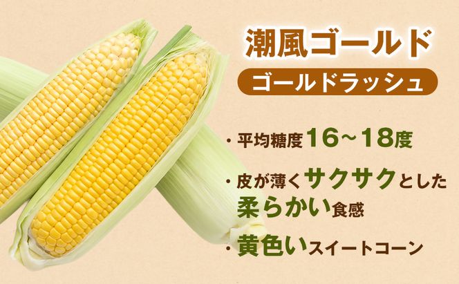 ［定期便・全3回］［夏の味覚］潮風ゴールド 2Lサイズ 5～8本 1セット とうもろこし トウモロコシ ゴールドラッシュ 黄色 潮風ゴールド スイートコーン 茹でとうもろこし BBQ 焼き肉 白浜町 304018_ET08
