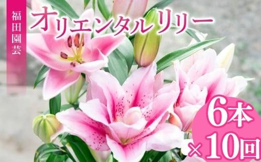 定期便10回 ユリ オリエンタルリリー 6本 花 切り花 プレゼント 贈り物 ギフト 誕生日 記念日 つぼみ 大輪 ピンク 白 香り 優雅 華麗 ブーケ フラワーアレンジメント 観賞用 インテリア 季節の花 高級感 花束 生花 福田園芸 オリエンタルハイブリッド 安芸市 高知県